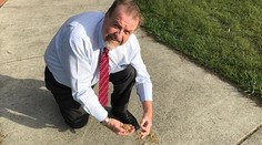 Šialený vandal rozsypal v parku pre psov stovky pripínačiek, zvieratkám sa zabodli do labiek