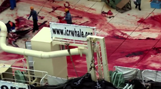 Najbližšie mesiace oceán sčervenie. Japonsko opäť vyráža na lov veľrýb