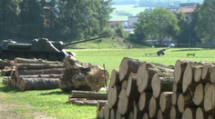 Júlová víchrica spustošila aj areál vojenského múzea vo Svidníku. Lesníci spílili takmer 200 poškodených stromov