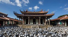 Na svete žije 1600 pánd. Takto to vyzerá, keď všetky zaplavia mestá