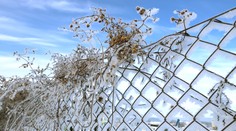 Na Slovensko prichádza ochladenie aj nočné mrazy, oteplí sa až o pár dní