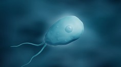 Smrteľný parazit z kúpania vystrašil Slovensko. Doteraz zabil stovky ľudí, „požiera“ mozog svojich obetí