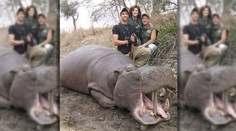 Krvavá vražda na safari v Afrike: Bohatý zubár zabil manželku kvôli milenke a životnej poistke