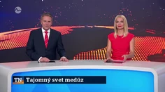 Tajomný svet medúz
