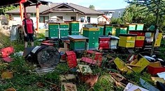 V Ružomberku opäť vyčíňal medveď. Miestnemu včelárovi zničil celú včelnicu