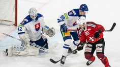 Pohár v rukách Švajčiarov. Slováci viedli, no Helvétom napokon podľahli