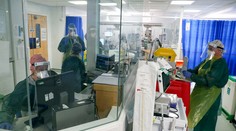 Španielov desí ďalšia nákaza. Prenášajú ju komáre