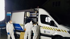 Brutálne vraždenie v Maďarsku: Muž zastrelil svokru, exmanželku aj vlastného syna