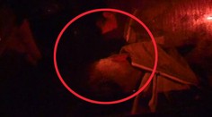 Deväťmesačné dievčatko a jej brat (3) spávali v Košiciach v aute. Matka ich nechce!