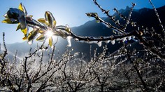 Tohtoročná jar na Slovensku sa zaradila medzi tri najchladnejšie za posledných 40 rokov