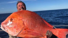 Skúsený rybár zaznamenal životný úlovok. Váha tohto obra mu vyrazila dych