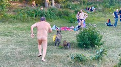Nudista naháňal diviaka, ktorý mu vzal tašku s laptopom