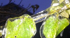 Slovensko zasiahne severák