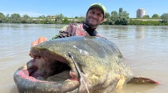 VIDEO: Kapitálny úlovok rybára. Zo známej rieky vytiahol monštruózneho sumca s rekordnou dĺžkou