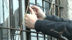 V obci Rybník si svojsky poradili s vandalmi