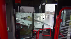 VIDEO: Cestujúci ostali v šoku. Čelné sklo bratislavskej MHD prerazila srna, skončila v kabíne vodiča