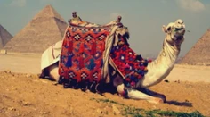 Ministerstvo varuje pred cestou do Egypta: Platí druhý stupeň odporúčania