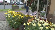 Konsolidácia zasiahne zrejme aj cintoríny. Ľudia zvažujú, koľko a či vôbec minú na kvety