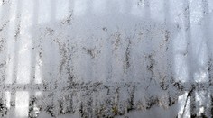 Pozor na nočné mrazy: Na väčšine Slovenska sa môže ochladiť až na mínus sedem stupňov