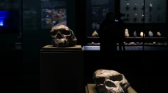 Milión rokov stará lebka prepisuje históriu evolúcie. Ľudia chodili po Zemi skôr, ako sme sa učili v škole