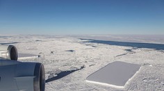 Na Antarktíde objavili unikát