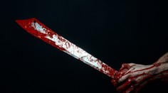 Tínedžerka v obchode ukradla mačetu a zavolala si UBER: Vodiča brutálne zavraždila