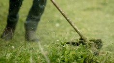 Na kosenie mestských trávnikov je ešte priskoro. Odborník tvrdí, že je to len strata pohonných hmôt a peňazí