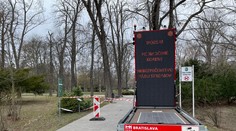 Po potope ďalšia katastrofa. V Sade Janka Kráľa môžu kvôli podmočeným koreňom padať storočné stromy