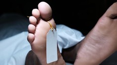 Svet čelí tichej kríze. Čoraz viac mladých zomiera bez toho, aby boli chorí