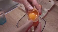 V Spišskom Štvrtku je epidémia salmonelózy. Nakazilo sa až 50 ľudí