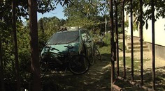 Vlčiak zaživa dohrýzol na smrť muža (†58) z Pastuchova