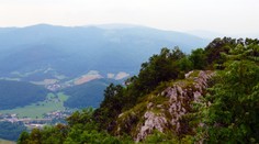 Rakúsky podnikateľ u nás ťažil drevo aj napriek zákazom