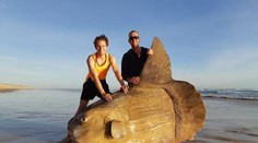 Na austrálskom pobreží sa objavila vzácna ryba. Stret s ňou by mohol poškodiť loď či jachtu