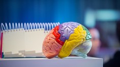 Mozog je flexibilnejší, než sme si mysleli. Ako zmeniť jeho nastavenie v dospelosti?