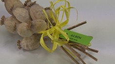 Cestoviny so špenátovým pestom s mandľami a balkánskym syrom