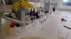 Už sú známe výsledky testu Sputniku na myšiach a morčatách. Prečítajte si, ako hlodavce dopadli