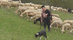 Salaš v Brusne sa vyrovnáva so smrťou obľúbeného baču. Takí chlapi sa už nerodia