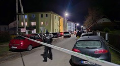 Muž pri Bardejove mal zastreliť len mesačné dieťa. Potom siahol na život aj sebe