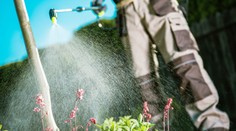 Udržte svoju záhradu v bezpečí - zatočte s burinou a škodcami