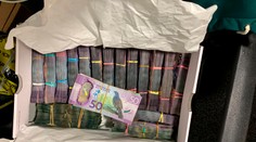 Najsofistikovanejší zásah voči zločincom: Pri operácii Trójsky štít zatkli po celom svete 800 ľudí