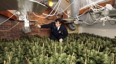 Takto jednoducho sa berú "prachy" dílerom