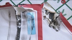 Našla si dotrhané a zašpinené obálky, vraj bola na chybe schránka