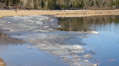 Otrasný nález v močiari na hraniciach medzi Kanadou a USA. Objavili pozostatky šiestich tiel vrátane jedného dieťaťa