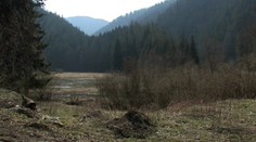 Záhada jazera vo Veľkej Fatre. So žabami zmizla aj voda.