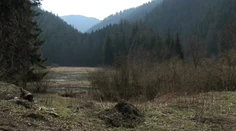 Záhada jazera vo Veľkej Fatre. So žabami zmizla aj voda.