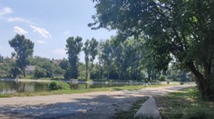 Pes zaútočil v Bratislave na otca so synom. Chlapcovi pohryzol lýtko