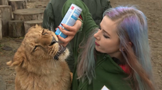 Chceli by ste sa v ZOO dotýkať zvierat? Tento trend už dorazil aj na Slovensko