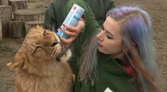Chceli by ste sa v ZOO dotýkať zvierat? Tento trend už dorazil aj na Slovensko