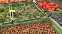 V ponuke sú stále aj paradajky či melóny. Navštívili sme trhovisko na juhu Slovenska