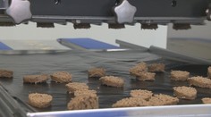 Výskumníci z Nitry sa môžu pochváliť netradičnými výrobkami. Pomáha im unikátny potravinový inkubátor